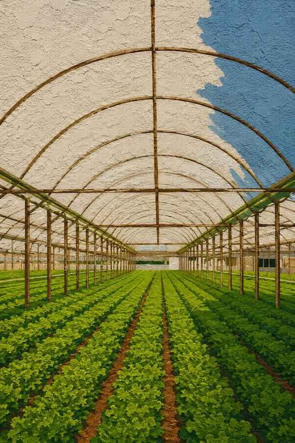 Predictive Yield Analytics