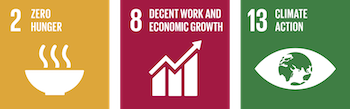 UN Sustainable Development Goals